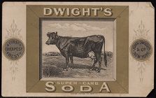 Dwight's Super-Carb Soda